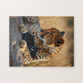 Puzzle Cheetah Guardian, Kitten Heart (Horizontal)