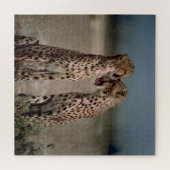 Puzzle Cheetah Love (Horizontal)