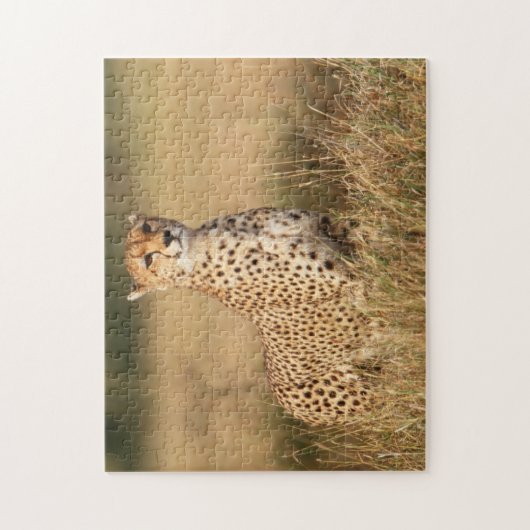Puzzle Cheetah on small mound for better visibility (Vertical)