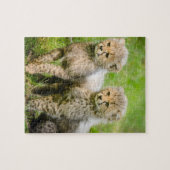 Puzzle Cheetahs bébé jumeaux (Horizontal)