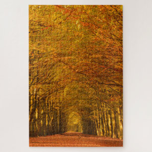 Puzzle Chemin à travers une forêt d'automne