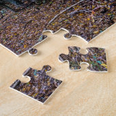 Puzzle Chemin dans la forêt automnale, Forêt Saint Germai (Côté)