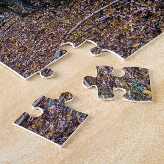 Puzzle Chemin dans la forêt automnale, Forêt Saint Germai (Côté)
