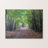 Puzzle Chemin dans la forêt automnale, Forêt Saint Germai (Horizontal)