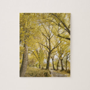 Puzzle Chemin dans les bois, Parc Sugarhouse, Salt Lake C
