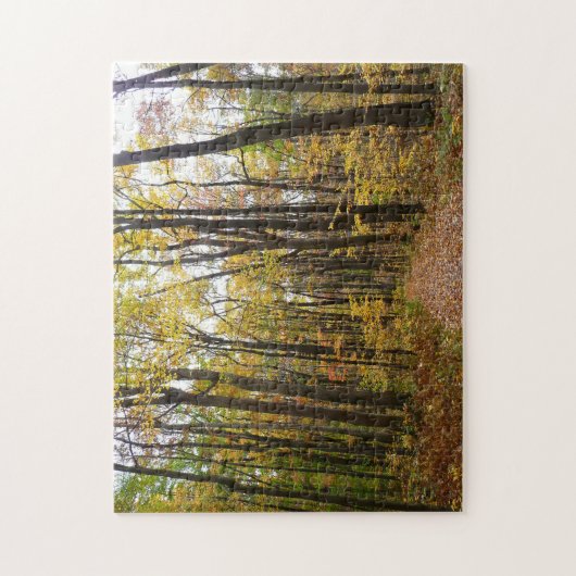 Puzzle Chemin d'automne et Feuilles d'or au parc Laurel H (Vertical)