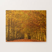Puzzle Chemin de marche à travers la forêt en automne (Horizontal)