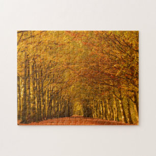 Puzzle Chemin de marche à travers la forêt en automne