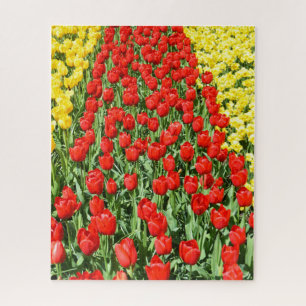 Puzzle Chemin des tulipes rouges en Hollande floral