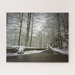 Puzzle Chemin vers Dreamland - Forêt allemande - 16x20 - 