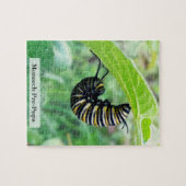 Puzzle Chenille de papillon monarque pré-nymphe 110 pièce (Horizontal)