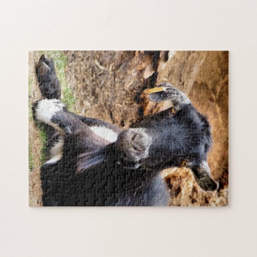 PUZZLE CHÈQUE (Horizontal)