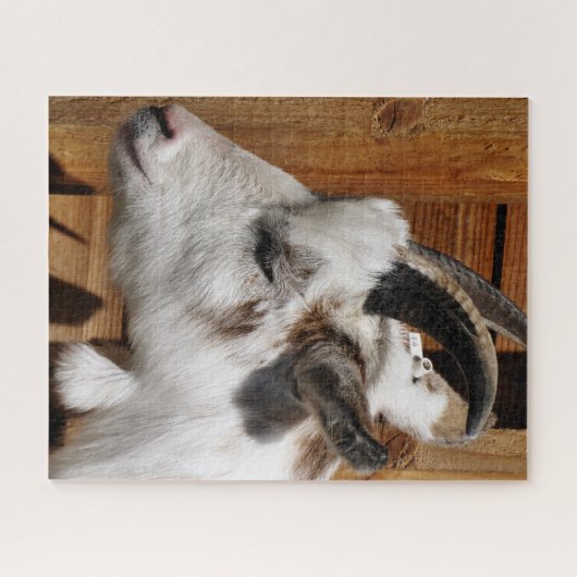 PUZZLE CHÈQUE CUTE (Horizontal)