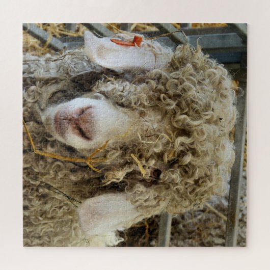 PUZZLE CHÈQUE CUTE (Horizontal)