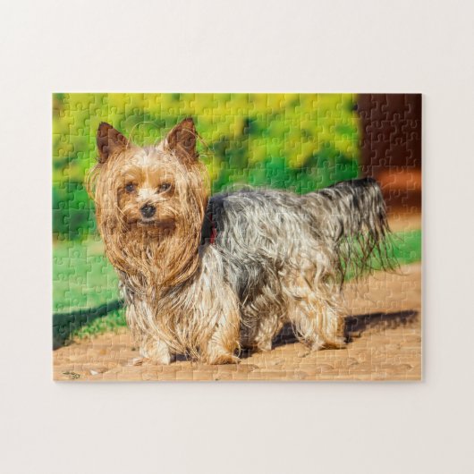 Puzzle Cher Yorkshire Terrier Yorkie Chien Chien Chien Ch (Horizontal)
