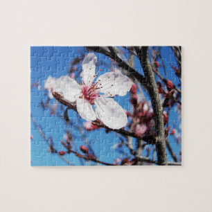 Puzzle Cherry Blossom 2