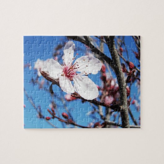 Puzzle Cherry Blossom 2 (Horizontal)