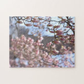 Puzzle Cherry Blossoms Central Park New York City NYC (Horizontal)