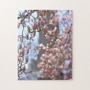 Puzzle Cherry Blossoms Central Park New York City NYC