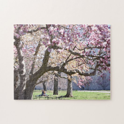 Puzzle Cherry Blossoms Central Park New York City NYC (Horizontal)