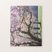 Puzzle Cherry Blossoms Central Park New York City NYC (Vertical)