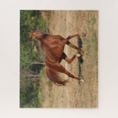 Puzzle Chestnut Arabe Courir Mane et Queue (Vertical)