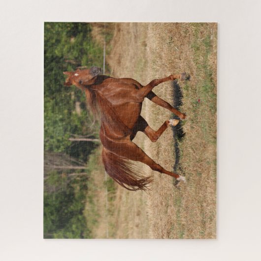 Puzzle Chestnut Arabe Courir Mane et Queue (Vertical)
