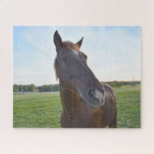 Puzzle Chestnut Horse dit Bonjour