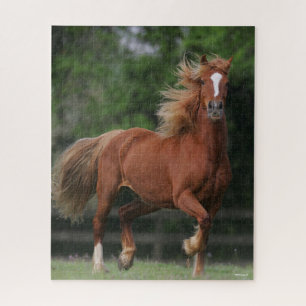 Puzzle Chestnut Welsh Pony Mane et Flux de queue