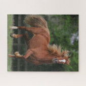 Puzzle Chestnut Welsh Pony Mane et Flux de queue (Horizontal)