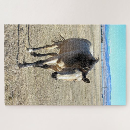 Puzzle Cheval (Horizontal)