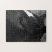 Puzzle Cheval 11x14 252pc jpcnm (Horizontal)