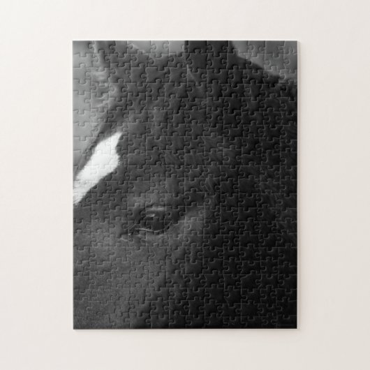 Puzzle Cheval 11x14 252pc jpcnm (Vertical)