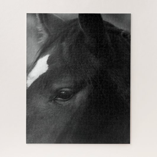 Puzzle Cheval 16x20 520pc jpcna (Vertical)