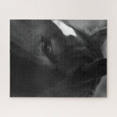 Puzzle Cheval 16x20 520pc jpcna (Horizontal)