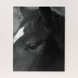 Puzzle Cheval 16x20 520pc jpcnm