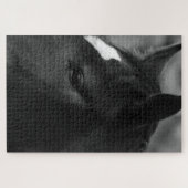 Puzzle Cheval 20x30 1014pc jpcna (Horizontal)