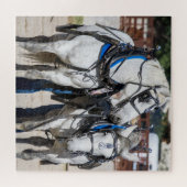 Puzzle Cheval à percheron (Horizontal)