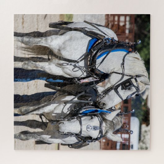 Puzzle Cheval à percheron (Horizontal)