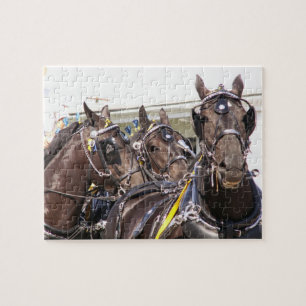 Puzzle Cheval à percheron