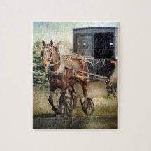 Cheval Amish et Buggy