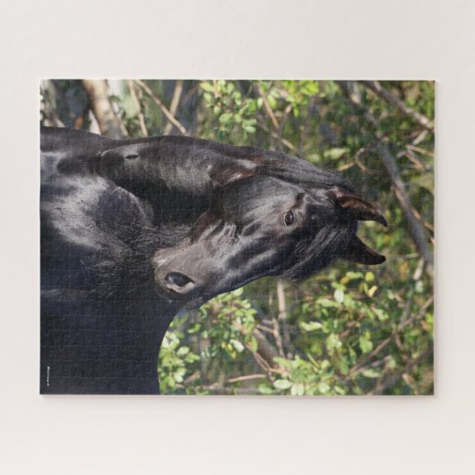 Puzzle Cheval andalou noir (Horizontal)