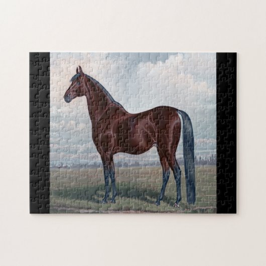 Puzzle Cheval arabe debout dans un champ (Horizontal)
