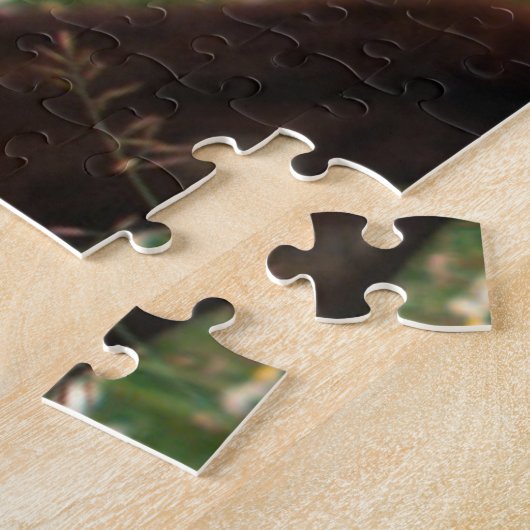 Puzzle Cheval Arabe près de Mère (Côté)