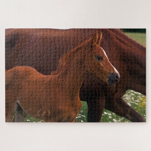 Puzzle Cheval arabe près de sa mère (Horizontal)