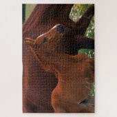 Puzzle Cheval arabe près de sa mère (Vertical)