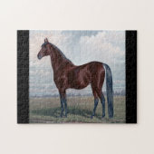 Puzzle Cheval Arabe Se Trouvant Dans Un Champ (Horizontal)