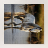 Puzzle Cheval blanc dans le lac (Horizontal)