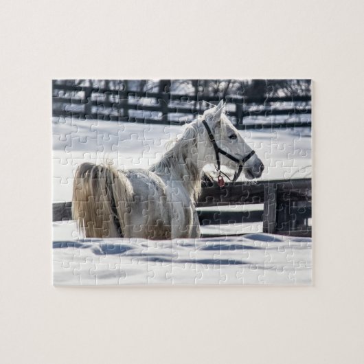 Puzzle Cheval Blanc En Neige (Horizontal)