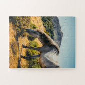 Puzzle Cheval blanc et gris pâturage avec soleil brillant (Horizontal)